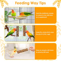 KATUMO 3PCS Bird Treats Parrot Crunch Sticks Parakeet Grains Mixed Treats Cockatiel Snacks Budgie Food Sticks for Lovebird Conure Myna Canary Parrots