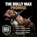 Bully Max 11-in-1 Dog Muscle Builder Power Chews - High Protein Muscle Gain Supplement with Amino Acids - Vet-Recommended for Puppy & Adult Canines, All Breeds & Ages - Made in USA - 75 Soft Chews