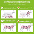 Cat Surgery Recovery Suit, Kitten Onesie for Spay Abdominal Wound