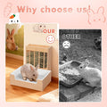 Extra-Large 2-in-1 Rabbit Litter Box & Hay Feeder Set, Wood, Mess Proof, for Guinea Pigs, Chinchillas, Hamsters, and Rab