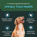 Vetriscinece Veterinary Strength UT Health Chews - Clinically Studied Supplement for Dogs - Supports Canine Urinary Wellness -Naturally Sourced - Features GanedenBC 30-60 Count, Chicken Liver Flavor