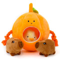 MewaJump Hide and Seek Small Dog Toys, Squeaky Dog Plush Toys for Small Dog, Pumpkin and Animal Crinkle Plush Stuffed Dog Toy, Small Puppy Cat Toy Set to Keep Them Busy