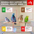 Morning Bird Pigeon Grit - Healthy & Nutritious Pigeon Food to Support Strong Muscles & Bones for Grit Eating Birds - Su