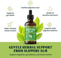 Slippery Elm for Dogs and Cats - Soothing Digestive Relief and Gut Support - Stomach Comfort and Throat Support - Herbal Drops for Pets - Easy to Use - Bacon Flavored - 2 fl oz
