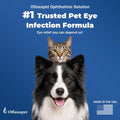 Dog Eye Drops | Dog Eye Infection Treatment | Flush Irritants & Reduce Redness, Watering & Discharge | Sterile Solution 