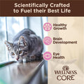 Wellness CORE Tiny Tasters Minced Kitten Wet Cat Food, Natural, Protein Rich, Grain Free, Chicken Recipe, 1.75 oz, Pack of 12 Pouches