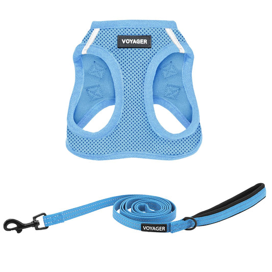 Best Pet Supplies Voyager Step-in Air All Weather Mesh Harness and Reflective Dog 5ft Leash Combo with Neoprene Handle, for Small, Medium and Large Breed Puppies - Set (Baby Blue), Small