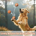 Sunraymascota 6-Pack Tennis Balls for Dogs Fetch Toys,for Beginner Practice