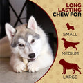 Real Hide | All Natural Dog Chew Treats - Premium Rawhide Rolls, 5-6 Inch - Long Lasting Grass Fed Free Range Beef Hide - Small/Medium Dogs - 16 Count