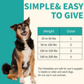 Pyrantel Pamoate and Praziquantel De-wormer Tablet for Medium & Large Dogs