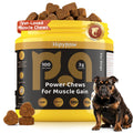 HipyPaw 4-in-1 Muscle Gain Chews for Dogs: High Protein Supplement with BCAAs, Glucosamine & Salmon Oil – Premium Muscle Builder for All Breeds, Puppies to Senior – Salmon Flavor Soft Chews, 100 Tabs