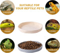 COMSUN 4 Pack Small Reptile Food Dish Bowl, Plastic Worm Water Dish Plate