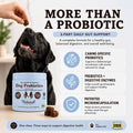 Natural Dog Company Probiotics for Dogs – Dog Probiotic Chews with 1B CFUs, Canine-Specific Microencapsulated Strains, Prebiotics & Enzymes for Digestive Health, Stool & Immune Support, 45 Ct