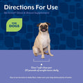 NaturVet - No Scoot for Dogs - 120 Soft Chews - Plus Pumpkin - Supports Healthy Anal Gland & Bowel Function - Enhanced with Beet Pulp & Psyllium Husk