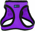 Medium/PURPLE