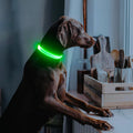 Illumifun LED Dog Collar, USB-C Rechargeable Light Up Collar Glow in Dark, Adjustable Pet Safety Lights for Night Walkin