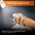REPTI ZOO UVB Light for Desert Reptile 2 Pack, 10.0 26W UVA UVB Reptile Light Bulb, UVB Spiral Compact Lamp for Bearded 