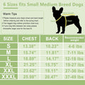 2 Pieces Fleece Dog Sweater Vest Winter Warm Dog Sweaters for Small Dogs Male Female Fall Pullover Doggie Clothes with D-Ring Soft Puppy Cold Weather Coat Clothing (Blue,Green, Medium)