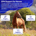 HA4E - Equine Protozoal Myeloencephalitis (EPM) Support - Reduces Weakness, Ataxia & Coordination Loss - Highly Effectiv
