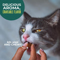 Tiki Cat Soft & Chewy Treats, Tuna Flavor, 3 Calories Per Treat with Grain-Free and No Added Gluten, 6 oz Pouch (Pack of