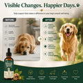 Pawsy Parasite Cleanse Drops, Probiotic Botanical Formula with Herbal Blend – Gut Health, Promotes Healthy Gut, Applicab