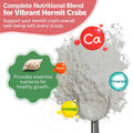 Oyster Shell Supplement for Hermit Crabs – Natural Calcium Source for Molting Support – Auto Feeder Compatible – USA-Sou