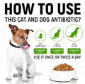 Antibiotics for Dogs | Antibiotics for Cats | Herbal Supplement for Digestion, Breathing, Urination | for Infections, Cough, Allergies | Beef Flavor & Cranberry | for All Pet Breeds | 2 Oz