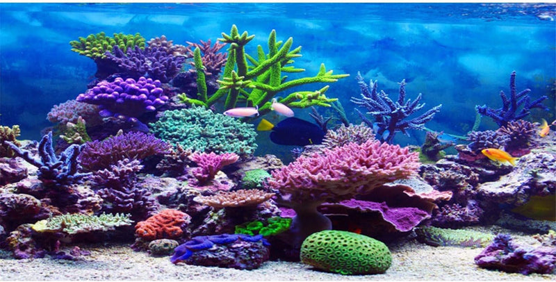 72x24 in Aquarium Backdrop Colorful Coral Tropical Fish Tank Background