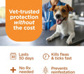 FirstAct Plus Flea Treatment for Dogs, Small Dogs 6-22 lbs, 3 Doses, Same Active Ingredients as Frontline Plus Flea and 