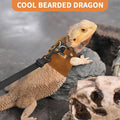 3 Pack Small Animals Leash and Harness Set for Bearded Dragon, 6.5FT Leash with 3 Sizes Adjustable Soft Harness for Rept