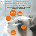 Cassiel pet Eye Drops for Eye Infection Treatment, Soothe Infection Allergy, Relieve Dry Eyes & Red Eye，Eye Cleaner and Tear Stain Remover for Dogs and Cats | 10 ml 0.33 FL OZ (1 Bottle)