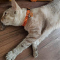 Halloween Cat Collar,2 Pack Collar with Bells, Orange+Black