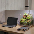 AREPK Aquarium & Terrarium Light Full Spectrum LED, Timer Auto On/Off, for Under 7 Gallon Fish Tanks, Betta Tanks, Moss,