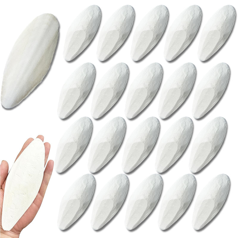 Clyairmao Bird Cuttlebone for Parakeets Cuttlebone for Birds - Natural Cuttlefish Bone Bulk Chew Toy Bird Bites Calcium Stone for Canaries Tortoises,Snails,Reptiles,Parrots,Cockatiel