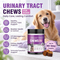 Dog UTI Treatment, 200 Soft Chews Cranberry Supplement for Dogs with D-Mannose Support Normal Urinary Tract Bladder Health & Kidney & Incontinence Remedy Stops