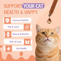 Collagen for Cats - Grass Fed Cat Collagen Drops - Cat Joint Supplement - Skin & Coat, Digestive & Immune Support - Senior Cat Supplement with MSM, Hyaluronic Acid, Biotin - Roast Chicken Flavor