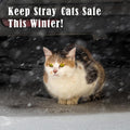 Kiroto Outdoor Pet Heating Pad for Cat Dog, Heated Mat with Waterproof Cover and Automatic Temperature Control, Suitable