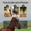 2-in-1 Blue Horse Hoop Pick with Brush Equine Hoop Pick