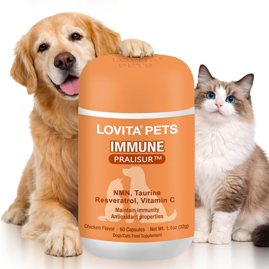 LOVITA Pets Senior Wellness Capsules for Dogs & Cats, with NMN, Resveratrol, Taurine, and PRALISUR Beta-Glucan, Daily Nutritional Support for Aging Pets, 60 Capsules