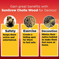 SunGrow Leopard Gecko Cholla Wood, 5 Inches Long, Create Basking Spot, Artistic Home-Decor, Lizards and Bearded Dragons,