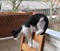 Cat Balcony Netting 10 * 20ft Cat Anti-Fall Netting Duralble Nylon Balcony Screen for Pets Pet Safty Netting for Balcony