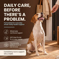 DM‑01 Daily Multivitamin for Dogs,12‑in‑1 Soft Chews,Beef Flavor,60 Count