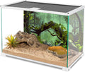 72x24 inches Reptile Habitat Background Foggy Forest Terrarium Backdrop