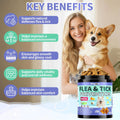 Flea and Tick Prevention for Dogs, 500 Crunchy Tasty Chews, Chicken Flavor