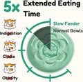 2 Pcs Ceramic Cat Slow Feeder Bowl Set, Dumpling Shape Cat Food Plates, 6.2" W Wide Shallow Whisker Friendly Slow Feedin