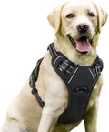 rabbitgoo Dog Harness, No Pull for Large Dogs with 2 Leash Clips, Pet Vest