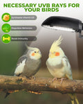 GlowUp UVB 2.4 Bird Cage Light Combo Kit, 20W UVB Bird Light Bulb, Deep U-Shaped Lamp Fixture with Compact Fluorescent Bulb E26 for Captive Birds, Reptiles