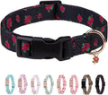 Black Rose/S