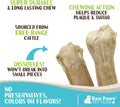 Raw Paws Compressed Rawhide Bones for Medium Dogs (10 Pack) - Chews