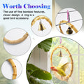 MUYG Bamboo Ring Bird Swing Perch,Large Circle Cage Hanging Toys,Bird Perch Climbing Toy Steady Natural Birds Hemp Rope Swings for Budgie,Cockatiels,Conures,Finches,Small Parakeets